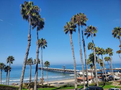 Sea Horse Resort