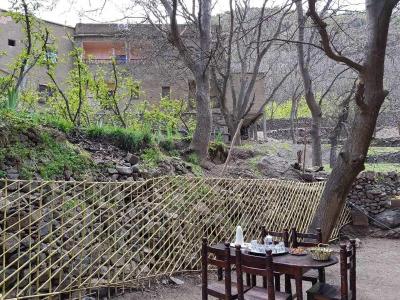 Atlas Garden