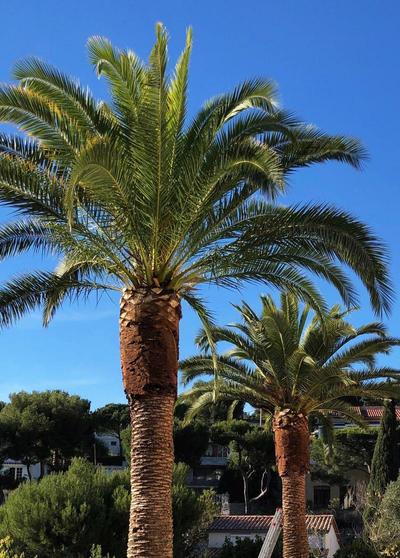 The Address Cassis