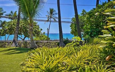 Vacation Condos In Kona