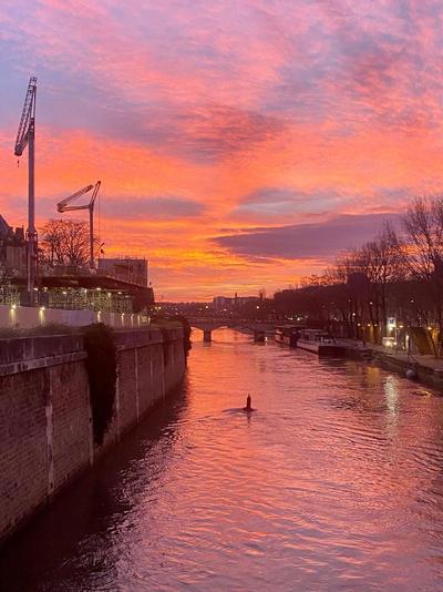 Hôtel les Degrés de Notre Dame