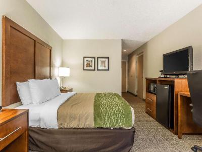 Quality Inn Summerville Charleston