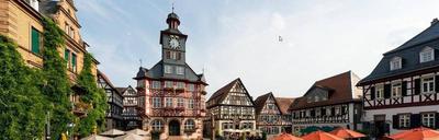Goldener Engel Hotel - Restaurant
