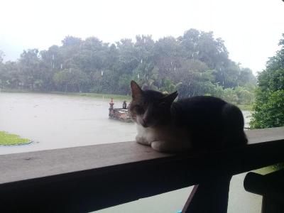 Baan Suan Jantra Home Stay