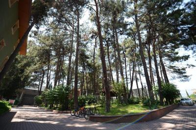 Arsan Otel