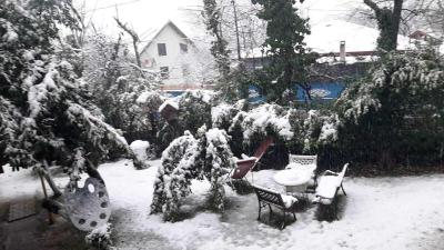 Butik Hotel Maşukiye