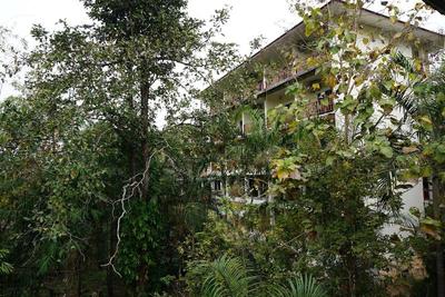 Green Hill Resort