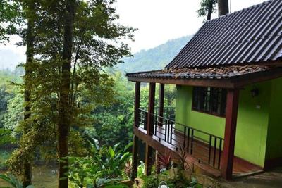 Khaosok Rainforest Resort