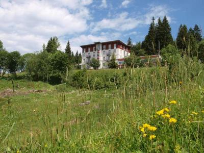 Waldhotel Am Notschreipass