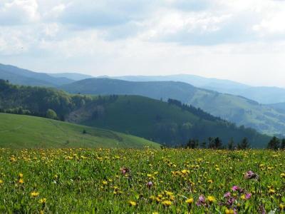 Waldhotel Am Notschreipass