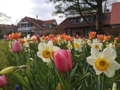 Hotel & Pension Dat greune Eck
