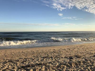 Ocean Surf Resort