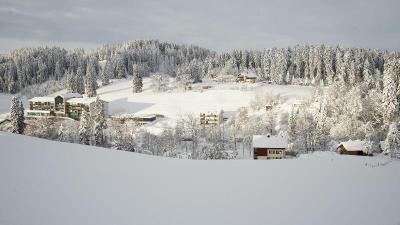 Hotel Edita