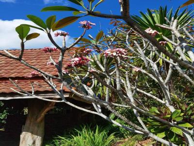 Wangnamkhao Resort