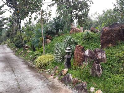 Wangnamkhao Resort