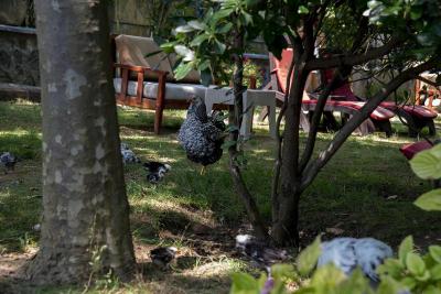 Fener Motel
