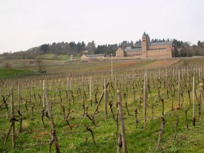 Weingut Jacob Lill IV. Nachfolger