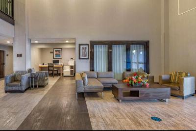 Comfort Suites Alpharetta/Roswell - Atlanta Area