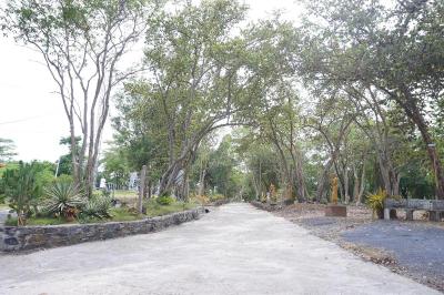 Wanghin Bungalow Donsak