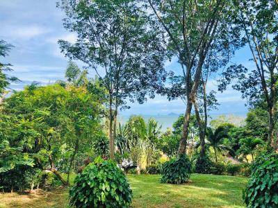 Banyan Bay Villas