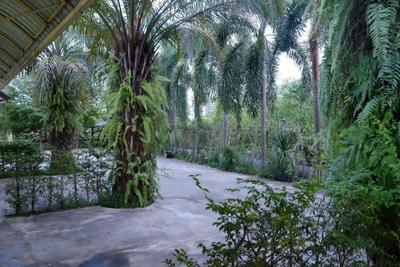 Ban Medsai Resort