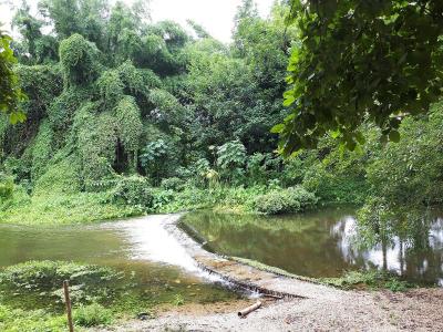 Pribpandao Home & Camping