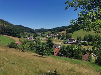 Hotel Landgasthof Grüner Baum