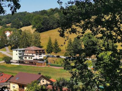 Hotel Landgasthof Grüner Baum