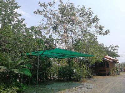 Bung Lung Resort