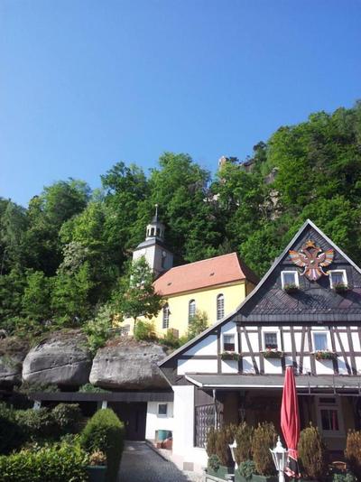 Schwarzer Bär
