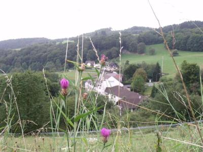 Hotel Zur Engelsburg