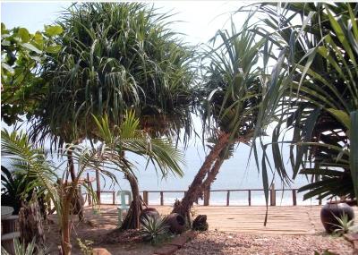 Jungle Bay Resort