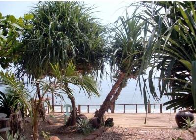 Jungle Bay Resort