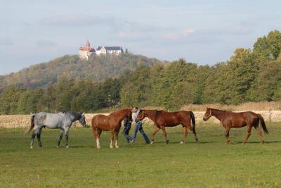Land- und Aktivhotel Altmühlaue