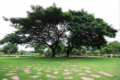 Pang Rujee Resort