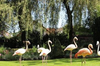 Parkhotel Krone