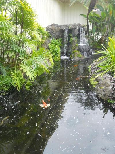 2417 @ Lihue Oceanfront Resort, Kauai Beach Drive,