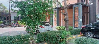 The Bangkok Cha Cha Suite