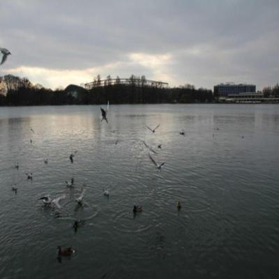 City Center Suites Hannover