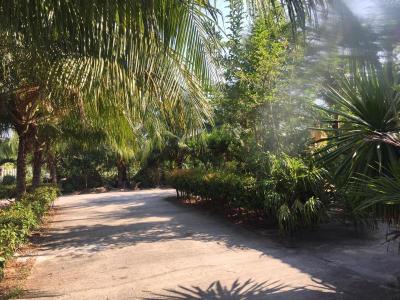 Palm Payom Village Resort