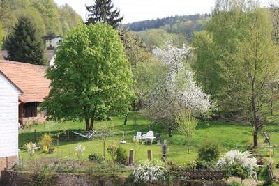 Gasthof Pension Zur Traube