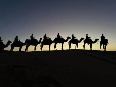 Sahara Magic Luxury Camp