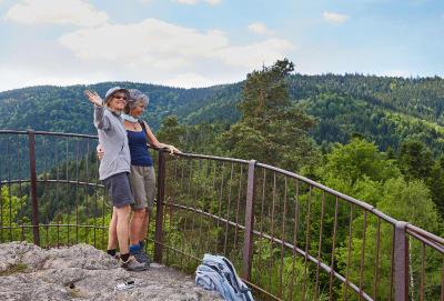 ElzLand Hotel Pfauen WELLNESS, SPA & VITALIS HOTEL