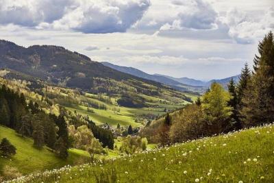ElzLand Hotel Pfauen WELLNESS, SPA & VITALIS HOTEL