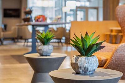 Cambria Hotel Orlando Airport