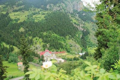 Green Valley Savsat