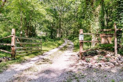Butterfly Hollow Bed And Breakfast