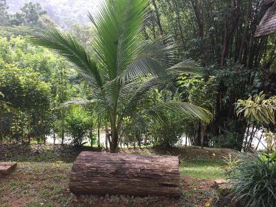 Thipthara Adventure Camp