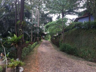 Thipthara Adventure Camp