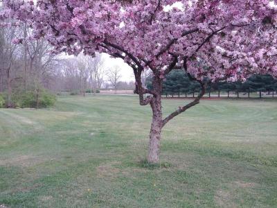 Brook Pointe Inn